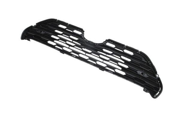 TOYOTA RAV4- 18/24; ÖN PANJUR SİYAH (TYG)