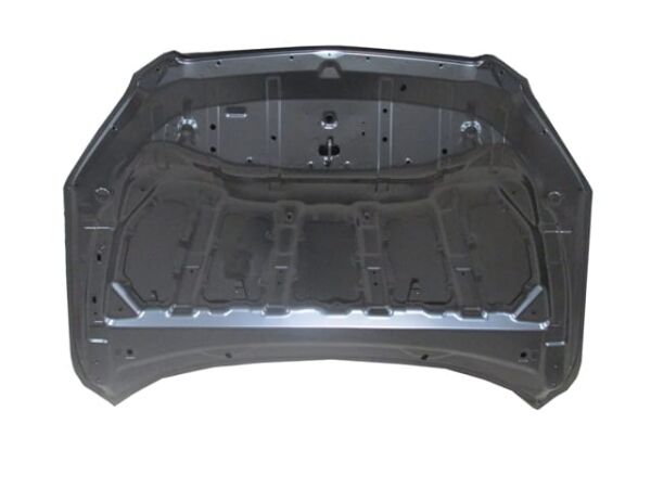 TOYOTA RAV4- 06/09; MOTOR KAPUTU (TYG)