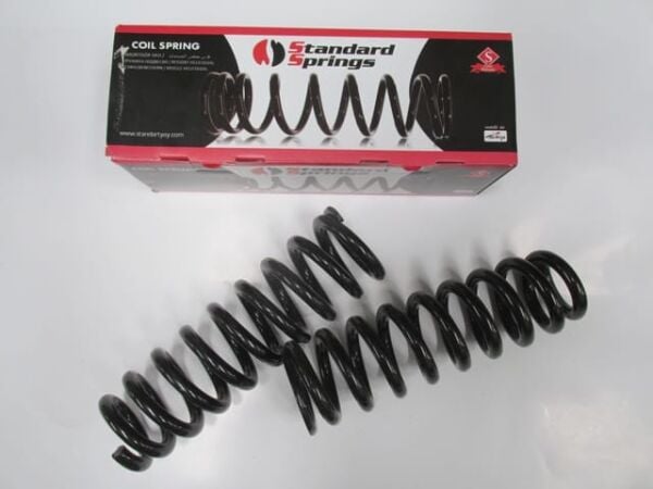 TOYOTA HILUX- PICK UP VIGO- 05/11; ÖN HELEZON YAYI 4X4 SAĞ/SOL (2Lİ SET) (STDR)