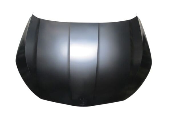 SKODA OCTAVIA- 20/24; MOTOR KAPUTU (TYG)