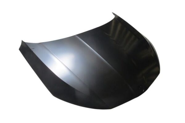 SKODA OCTAVIA- 20/24; MOTOR KAPUTU (TYG)