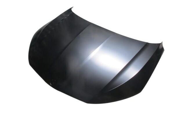 SKODA OCTAVIA- 20/24; MOTOR KAPUTU (TYG)