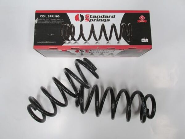 AUDI A4- 00/01; ÖN HELEZON YAYI SAĞ/SOL AYNI (2Lİ SET) 1.8 T/1.9TDI/2.0FSI (14,75X133X313)(STDR)