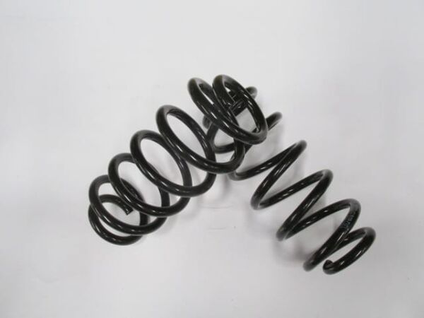 AUDI A4- 00/01; ÖN HELEZON YAYI SAĞ/SOL AYNI (2Lİ SET) 1.8 T/1.9TDI/2.0FSI (14,75X133X313)(STDR)